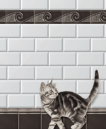 Carrelage metro blanc avec frise