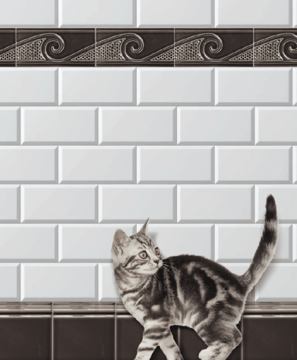 Carrelage metro blanc avec frise