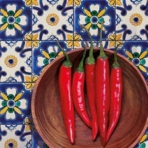 Carrelage mexicain Doremail - modèles AVODA et ATAKA