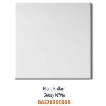 Carrelage couleur faience murale Diffusion Cér. ESSENTIELS 20x20cm - Blanc Brillant, 20x20cm - Par boite de 35 soit 1,40m²