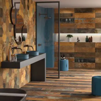 Carrelage mural Salle de Bain