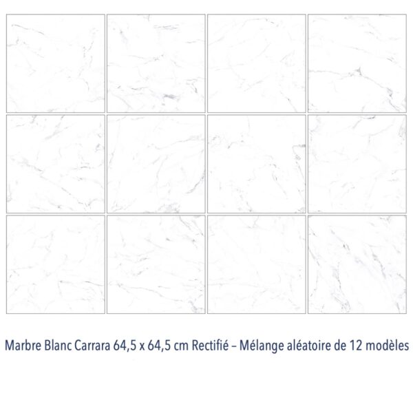 Carrelage marbre blanc Carrara Diffusion Céramique grand format 66x66cm