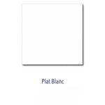 Carrelage Dorémail plat 20x20cm blanc (brillant ou satiné)
