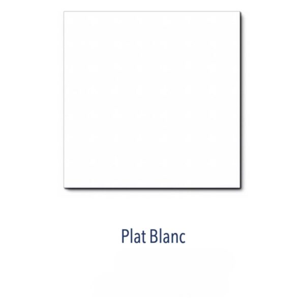 Carrelage Dorémail plat 20x20cm blanc (brillant ou satiné)