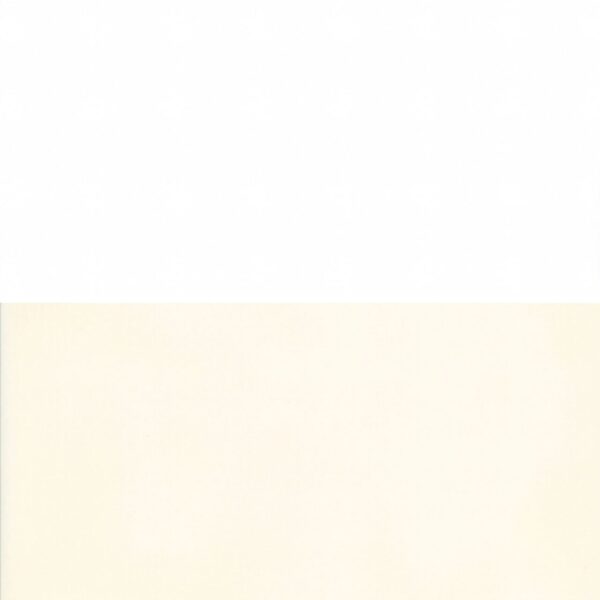 Carrelage Dorémail LES UNIS 20x20cm plats blanc ou ivoire